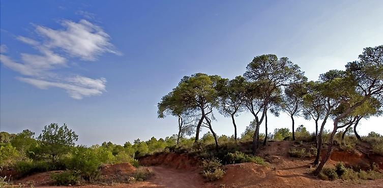Paisatge Mediterrani